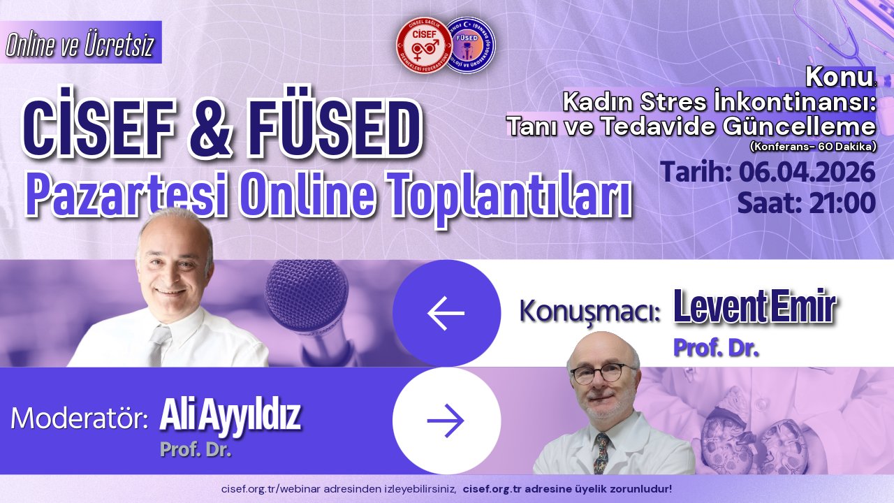 Kadın Stres İnkontinansı: Tanı ve Tedavide Güncelleme